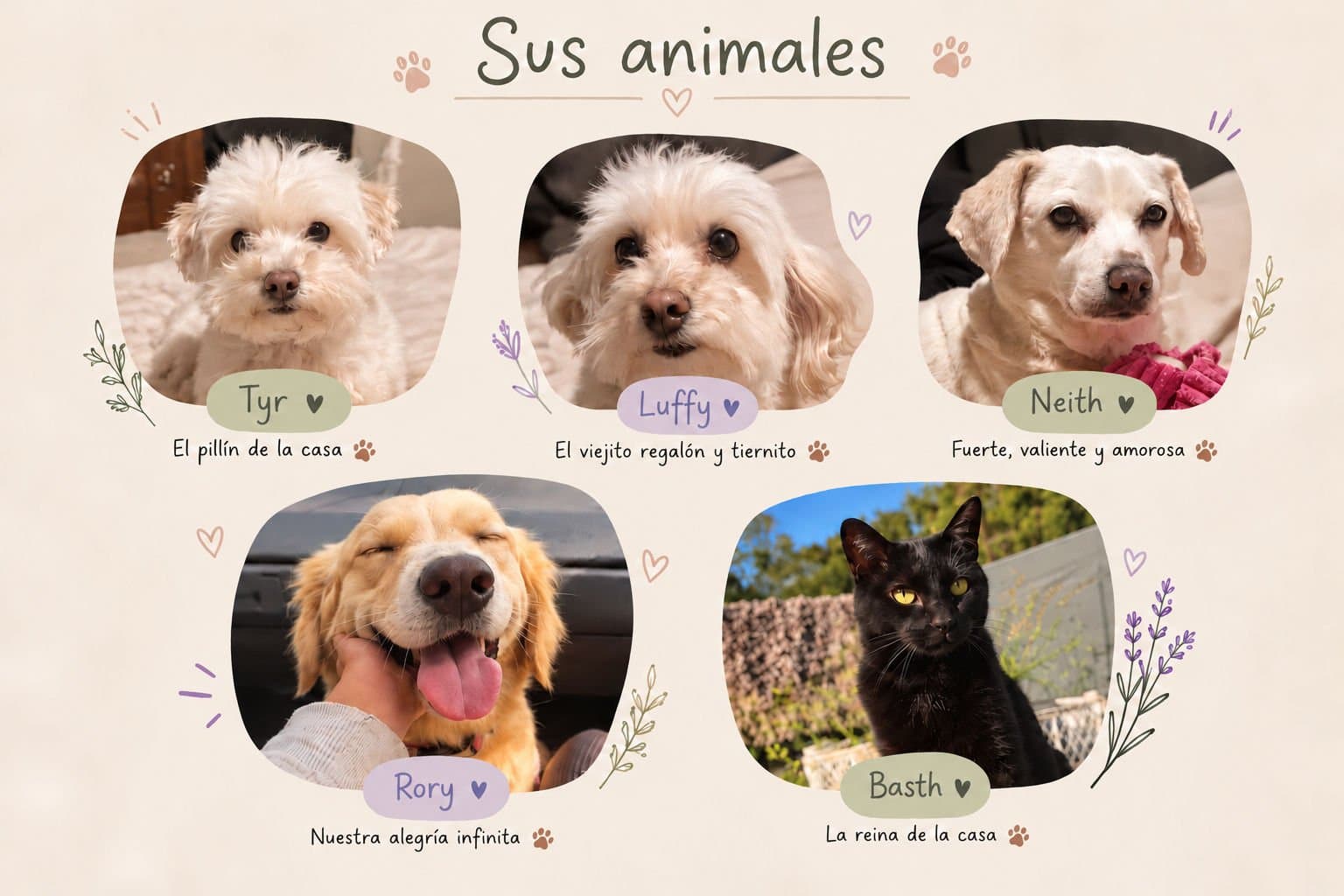 Sus animales: Tyr, el pillín de la casa; Luffy, el viejito regalón y tiernito; Neith, fuerte, valiente y amorosa; Rory, una golden que es nuestra alegría infinita; y Basth, una gata negra, la reina de la casa.